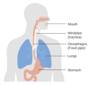 PT_sleep reflux